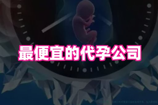 乐乐助孕网 1