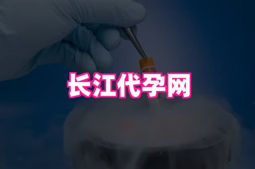 乐乐助孕网 3