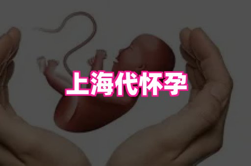 乐乐助孕网 4